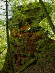 Germany, Rhineland-Palatinate, nature reserve Palatine wood, Eppenbrunn, "Altschlossfelsen" from new red sandstone Germany, Rhineland-Palatinate, nature reserve Palatine wood, Eppenbrunn, "Altschlossfelsen" from new red sandstone